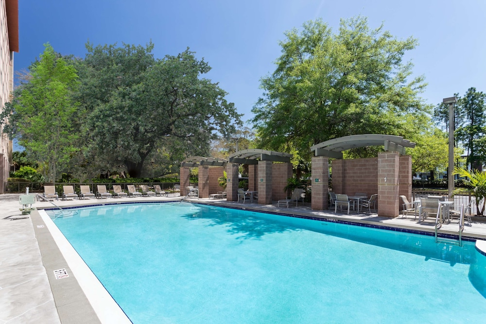 Embassy Suites by Hilton Tampa USF Near Busch Gardens — Swimming pool in Tampa, Florida