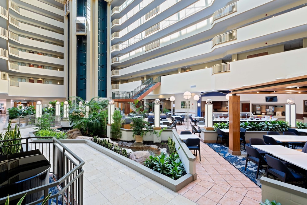 Embassy Suites by Hilton Tampa USF Near Busch Gardens — Restaurant & bars in Tampa, Florida
