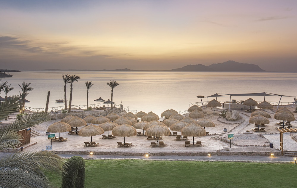 V Hotel Sharm El Sheikh — Beach in Sharm El Sheikh, Red Sea