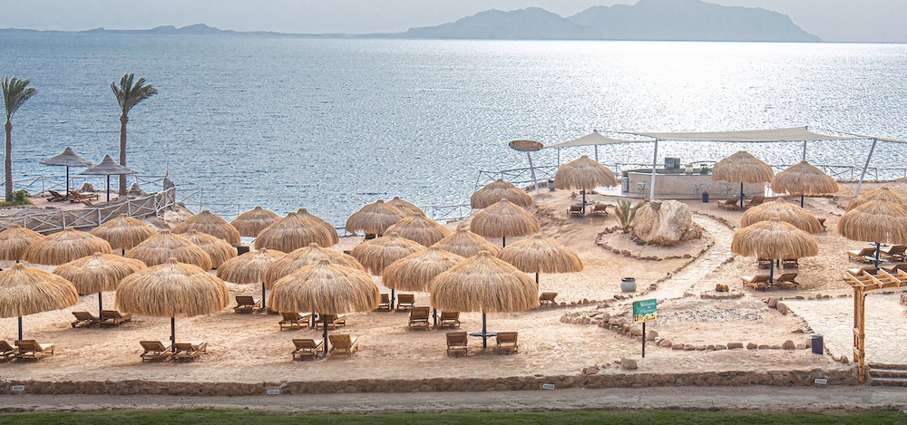 V Hotel Sharm El Sheikh — Beach in Sharm El Sheikh, Red Sea