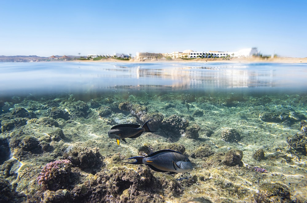 Three Corners Equinox Beach Resort — Beach in Marsa Alam, Red Sea