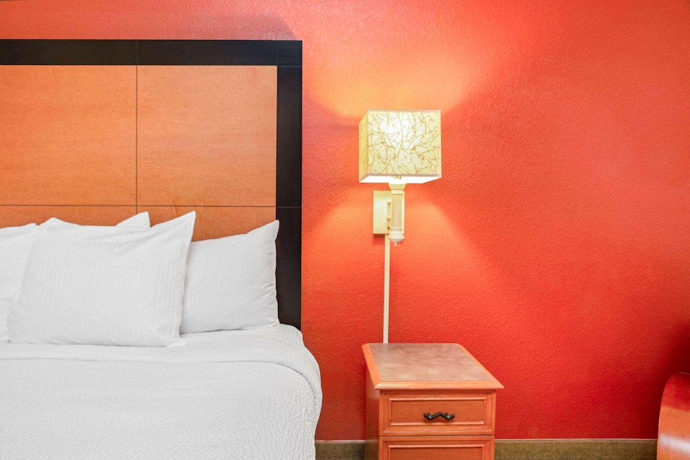 La Quinta Inn & Suites by Wyndham USF (Near Busch Gardens) — Hotel rooms in Tampa, Florida