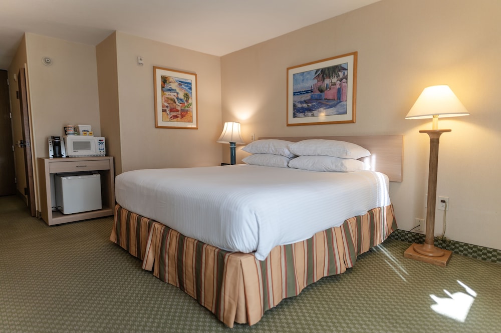 Howard Johnson by Wyndham Anaheim Hotel and Water Playground — Hotel rooms in Anaheim, California