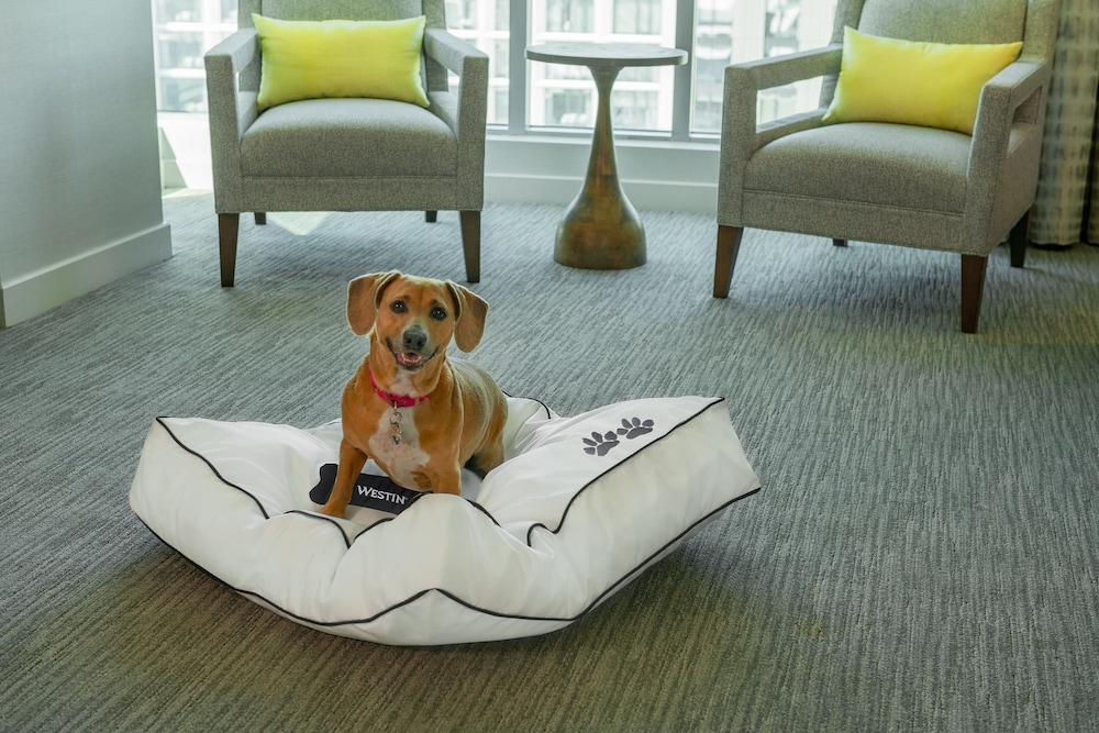 The Westin Boston Seaport District — Hotel rooms in Boston, Massachusetts