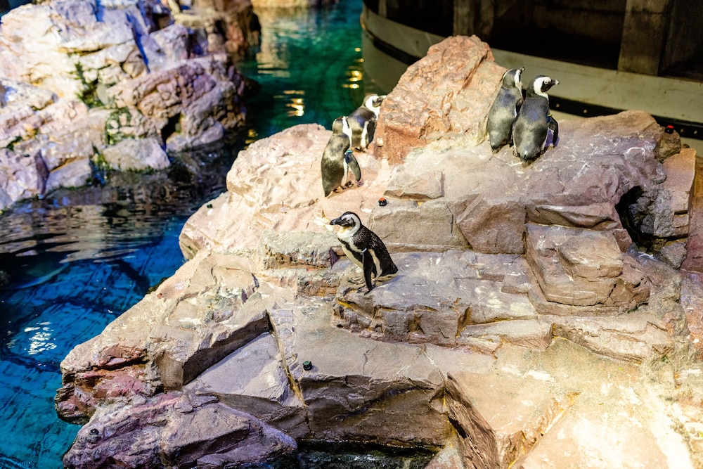 The Westin Boston Seaport District — Attractions for children in Boston, Massachusetts