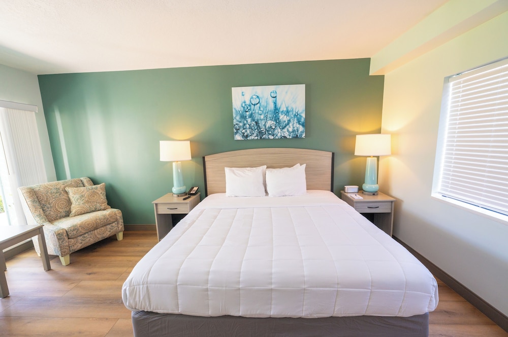 The Beachcomber — Hotel rooms in Treasure Island, Florida