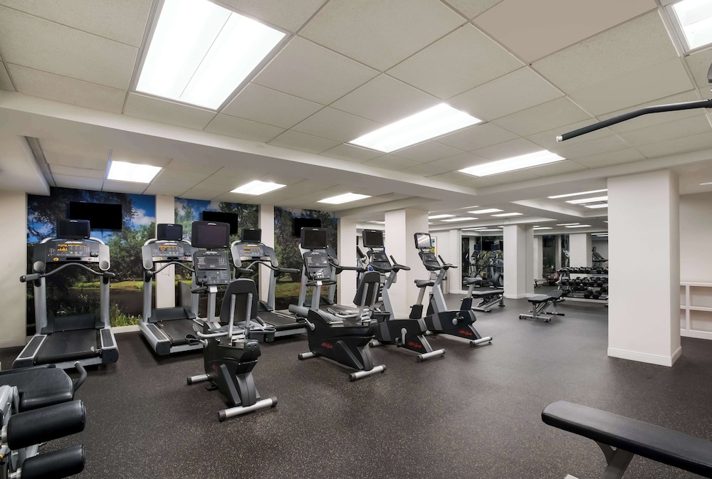 The Royal Sonesta New Orleans — Sports & recreation in New Orleans, Louisiana