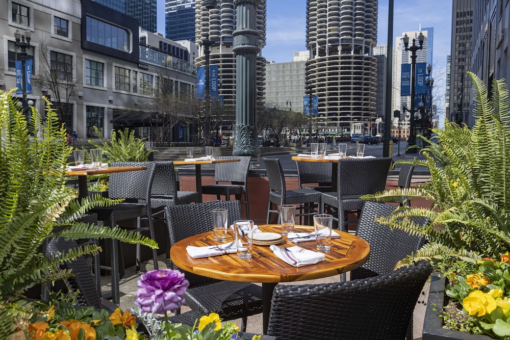 theWit Chicago, a Hilton Hotel — Restaurant & bars in Chicago, Illinois