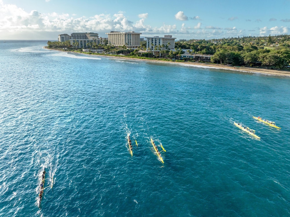 Hyatt Regency Maui Resort & Spa — Sports & recreation in Kaanapali, Hawaii