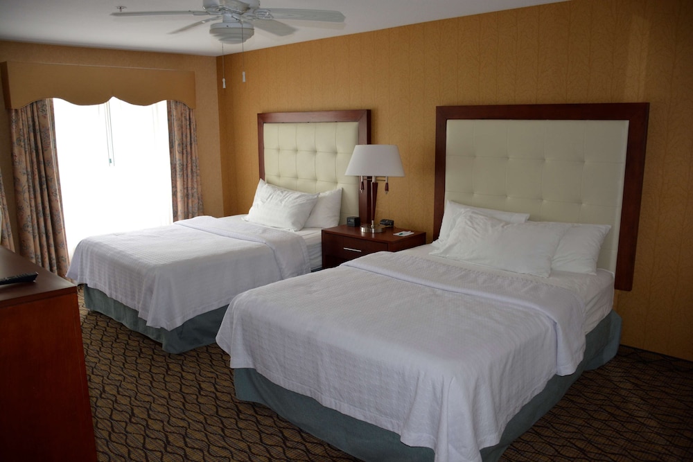Homewood Suites by Hilton Brighton — Hotel rooms in Brighton, Michigan