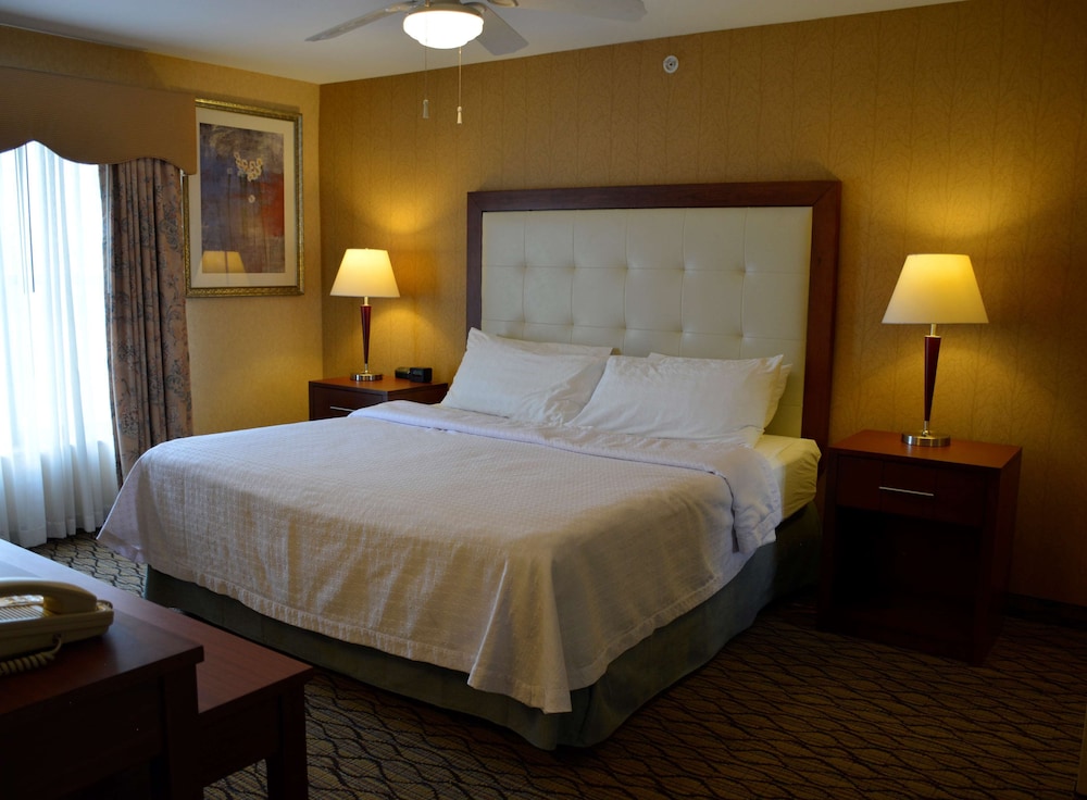Homewood Suites by Hilton Brighton — Hotel rooms in Brighton, Michigan