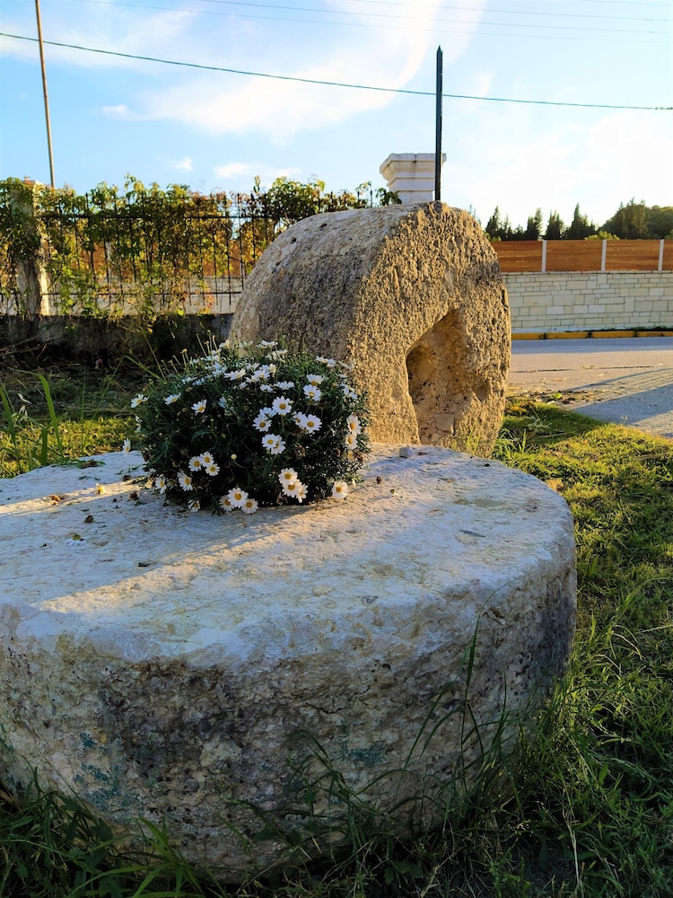 Ever Green — Attractions in the area in Lefkimmi (Corfu), Ionian Islands