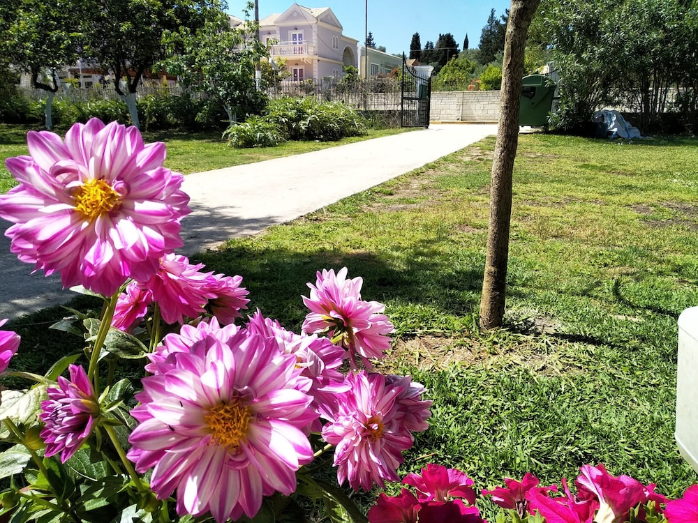 Ever Green — Attractions in the area in Lefkimmi (Corfu), Ionian Islands