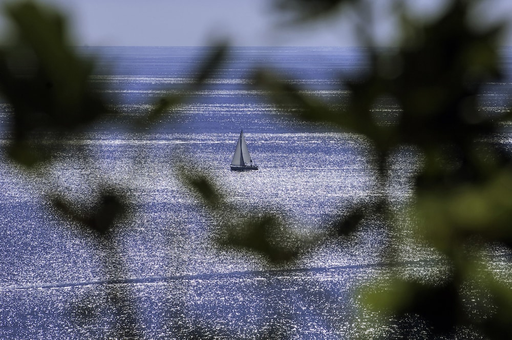 Rivalmare Boutique Hotel — Attractions in the area in Novigrad, Istria