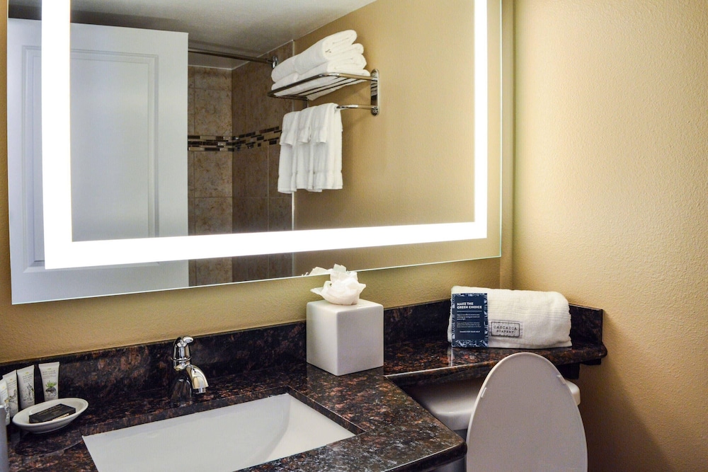Radisson Hotel Orlando Lake Buena Vista South — Hotel rooms in Kissimmee, Florida