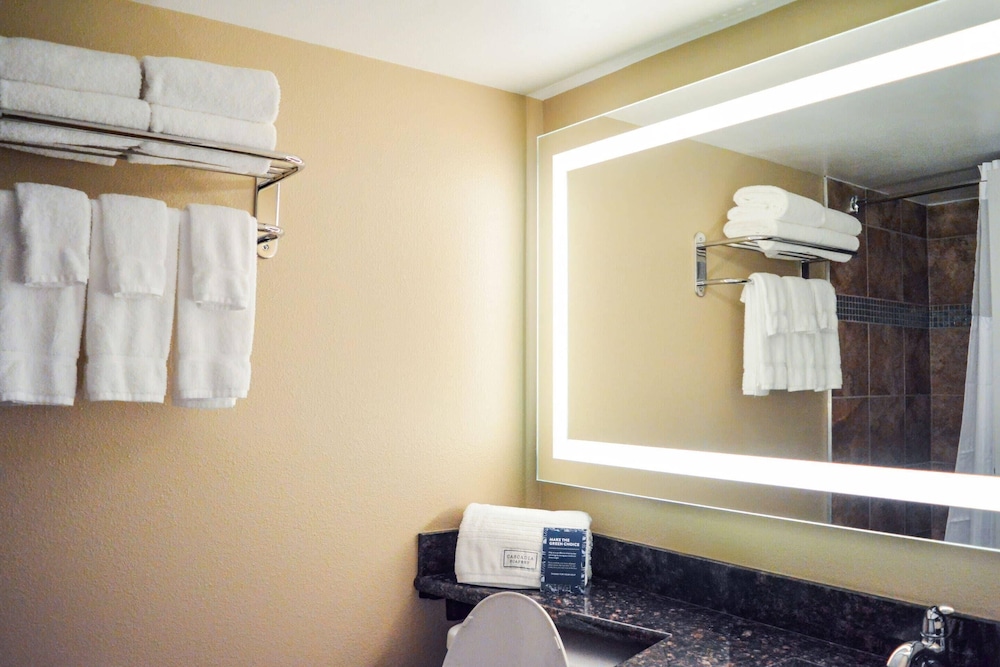 Radisson Hotel Orlando Lake Buena Vista South — Hotel rooms in Kissimmee, Florida