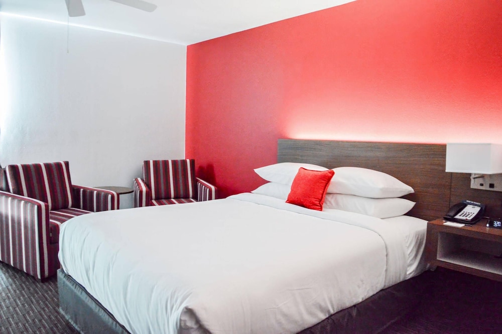 Radisson Hotel Orlando Lake Buena Vista South — Hotel rooms in Kissimmee, Florida