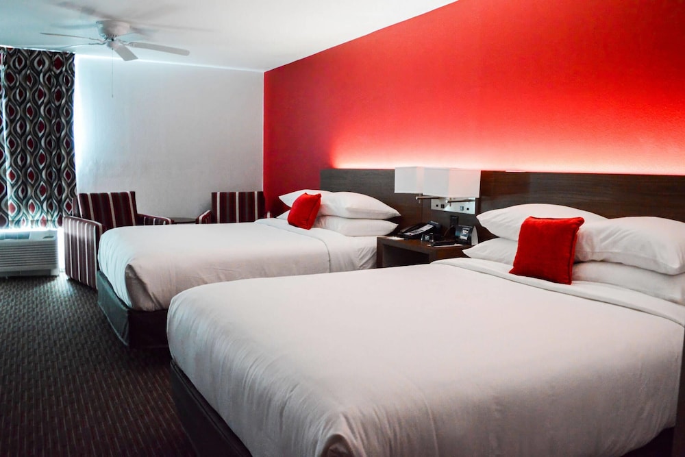 Radisson Hotel Orlando Lake Buena Vista South — Hotel rooms in Kissimmee, Florida