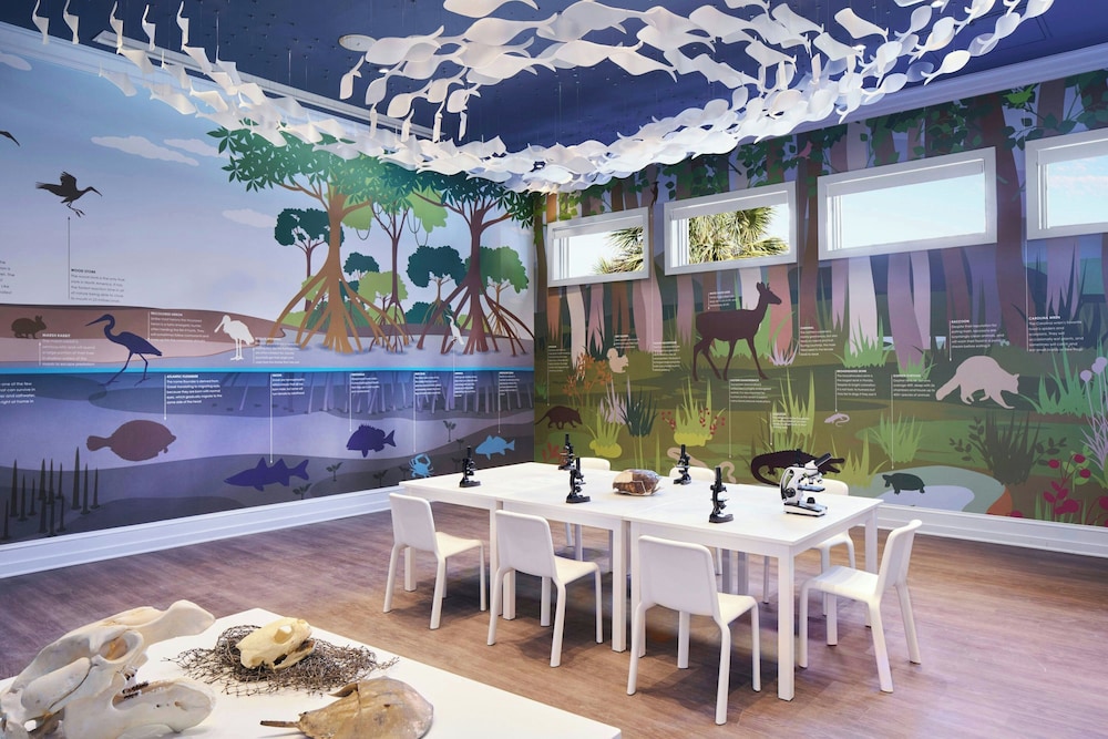 The Ritz-Carlton, Amelia Island — Attractions for children in Amelia Island, Florida