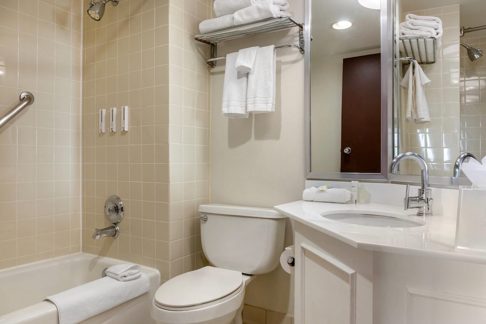 Radisson Hotel Detroit Metro Airport — Hotel rooms in Romulus, Michigan