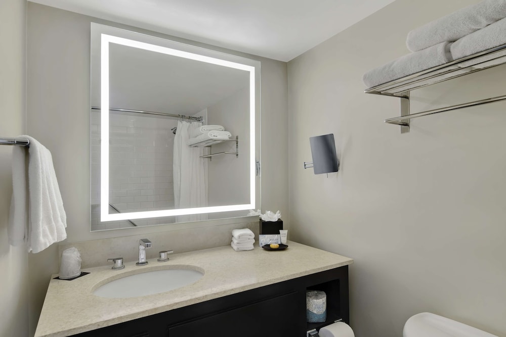 Hotel Tampa Riverwalk — Hotel rooms in Tampa, Florida
