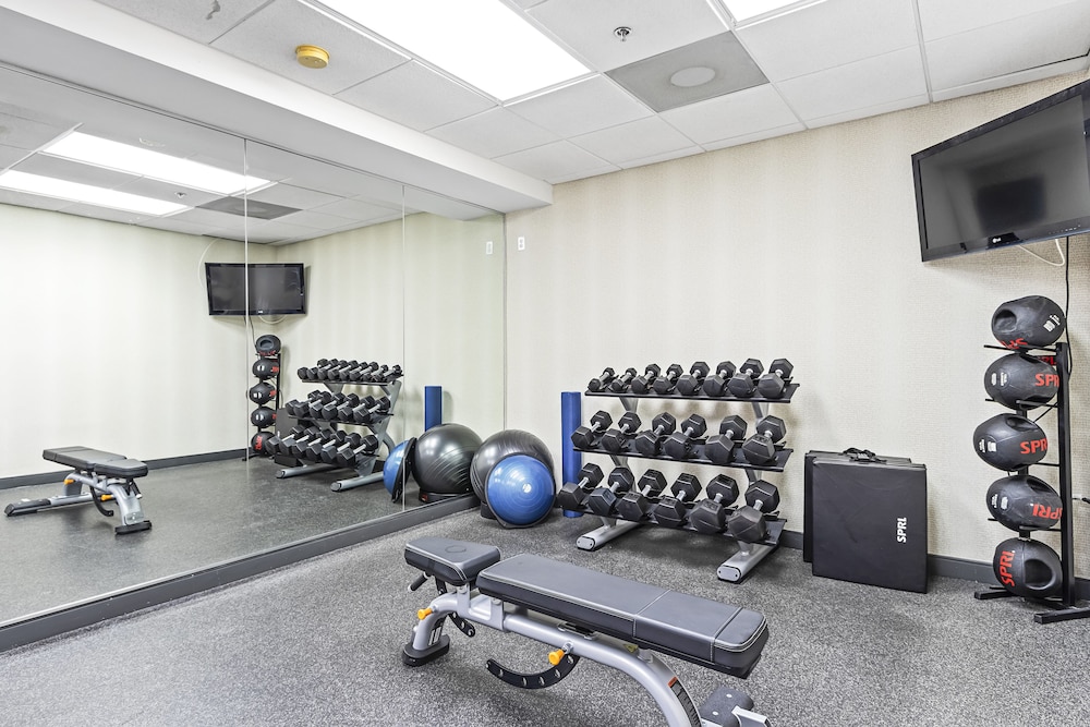 Holiday Inn St. Petersburg West by IHG — Sports & recreation in Gulfport, Florida