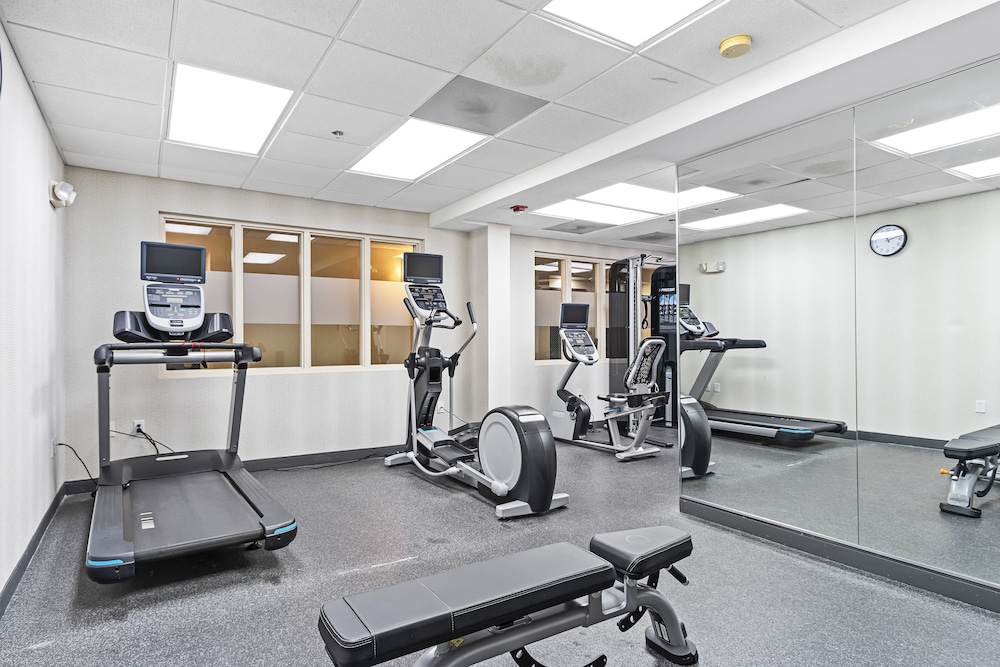 Holiday Inn St. Petersburg West by IHG — Sports & recreation in Gulfport, Florida