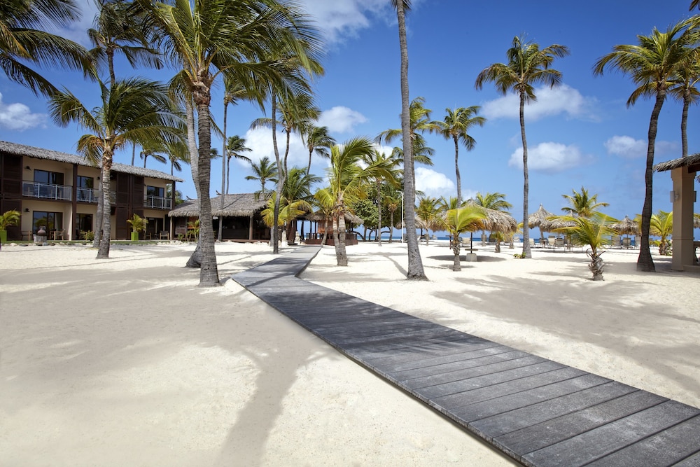 Manchebo Beach Resort and Spa — Beach in Oranjestad, Aruba