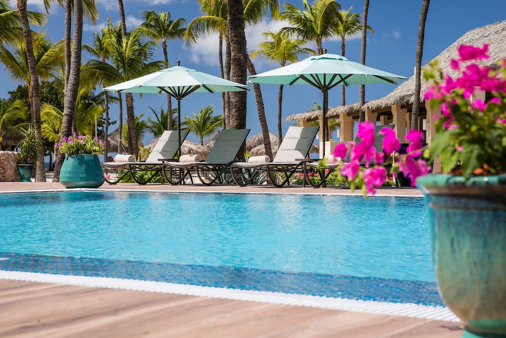 Manchebo Beach Resort and Spa — Swimming pool in Oranjestad, Aruba