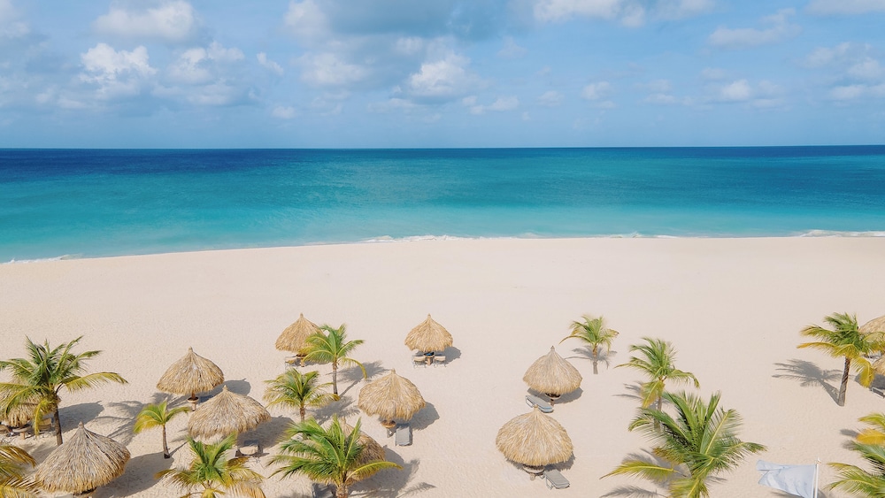Manchebo Beach Resort and Spa — Beach in Oranjestad, Aruba