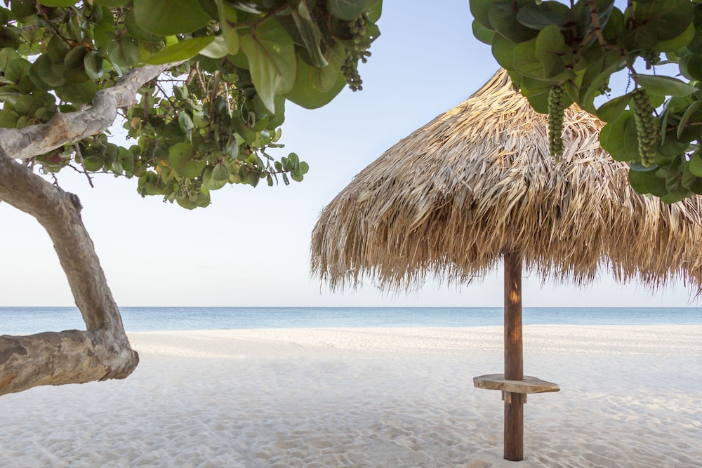 Manchebo Beach Resort and Spa — Beach in Oranjestad, Aruba