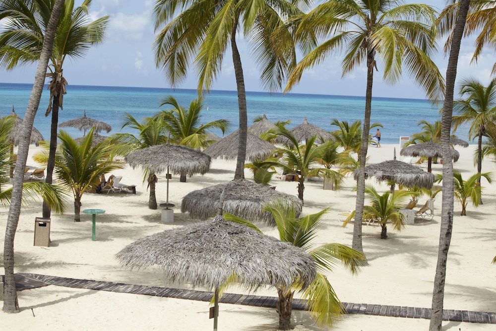 Manchebo Beach Resort and Spa — Beach in Oranjestad, Aruba