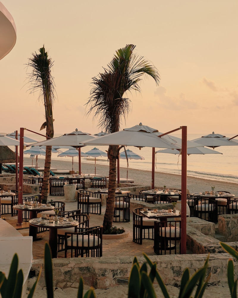 Maroma, A Belmond Hotel, Riviera Maya — Restaurant & bars in Playa del Carmen, Quintana Roo