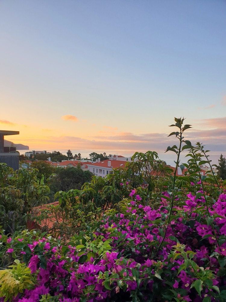 Vila Lusitânia — Attractions in the area in Funchal, Madeira