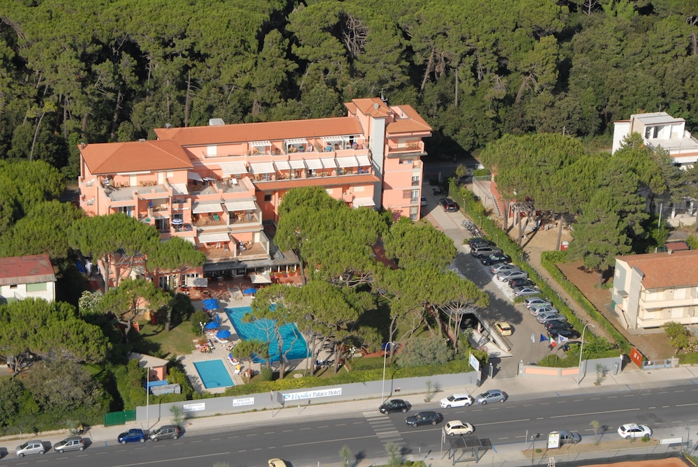 Versilia Palace Hotel - zdjęcie 4