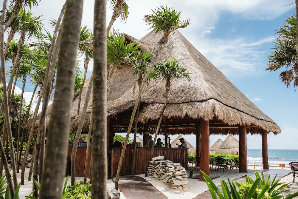 Valentin Imperial Rivera Maya All Inclusive - Adults Only — Restaurant in Playa del Carmen, Quintana Roo