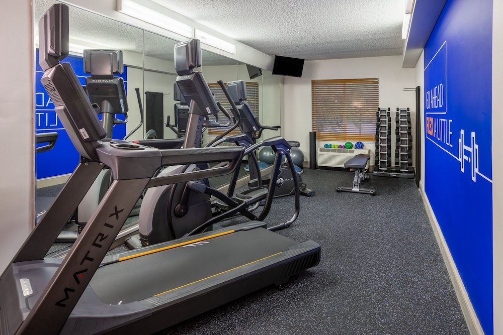 Holiday Inn Express Hotel & Suites New Tampa I-75 by IHG — Sports & recreation in Tampa, Florida