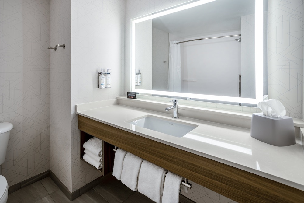 Holiday Inn Express Hotel & Suites New Tampa I-75 by IHG — Hotel rooms in Tampa, Florida