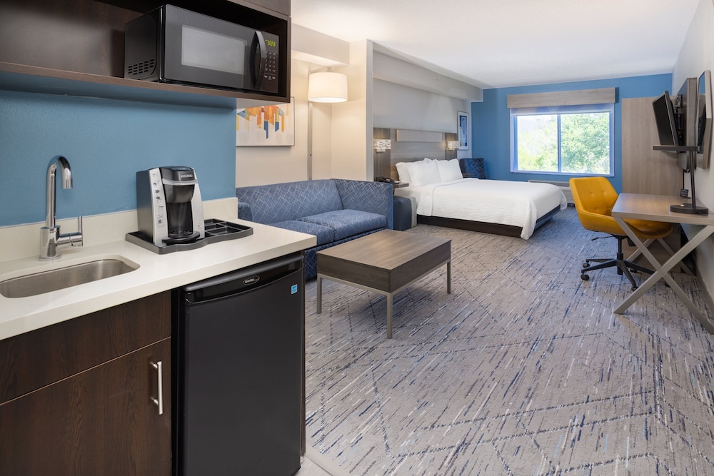 Holiday Inn Express Hotel & Suites New Tampa I-75 by IHG — Hotel rooms in Tampa, Florida