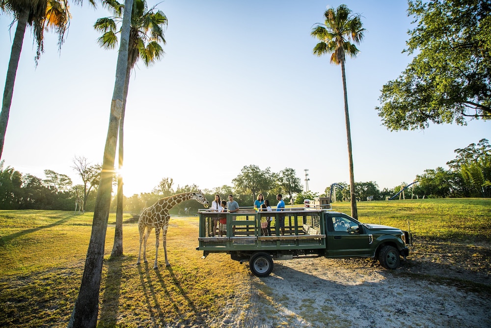 Holiday Inn Express Hotel & Suites New Tampa I-75 by IHG — Attractions in the area in Tampa, Florida