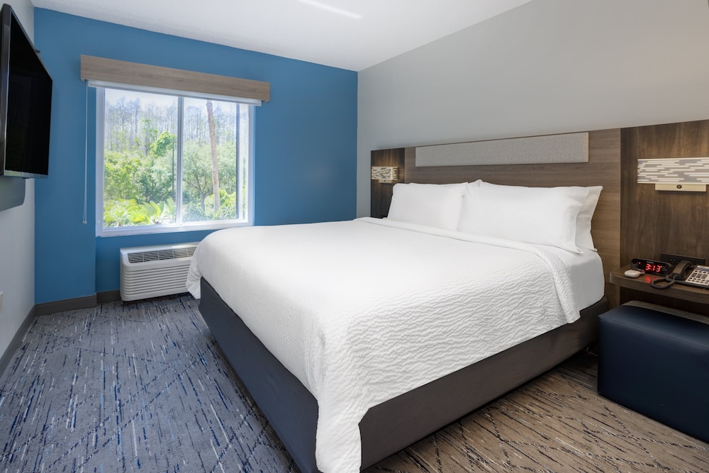 Holiday Inn Express Hotel & Suites New Tampa I-75 by IHG — Hotel rooms in Tampa, Florida