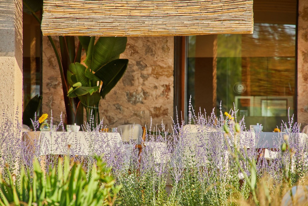 Hotel Pleta de Mar Grand Luxury, adults only – Preferred Hotels & Resorts — Hotel building in Canyamel, Balearic Islands