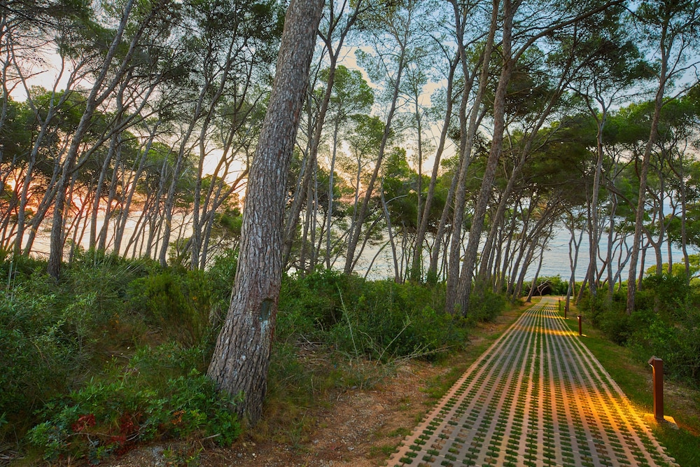 Hotel Pleta de Mar Grand Luxury, adults only – Preferred Hotels & Resorts — Attractions in the area in Canyamel, Balearic Islands
