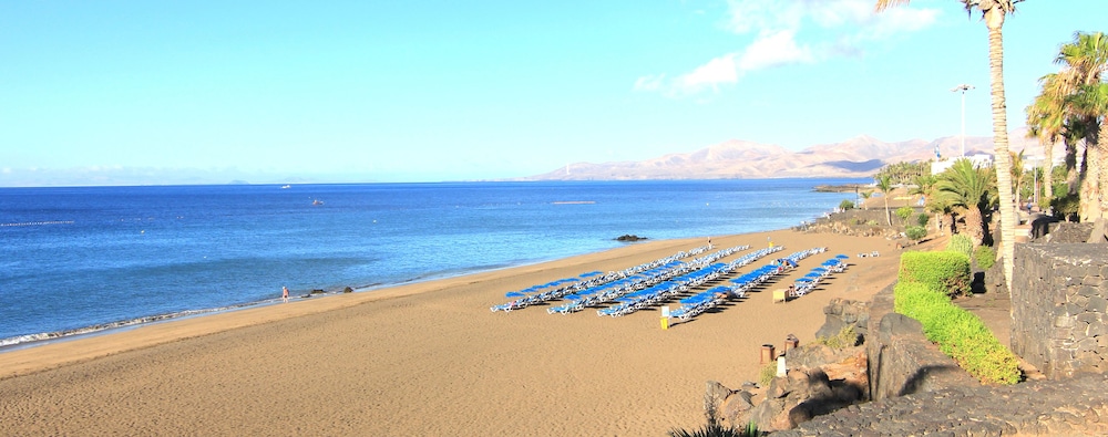 Arena Dorada - Apartments — Beach in Puerto del Carmen, Canary Islands