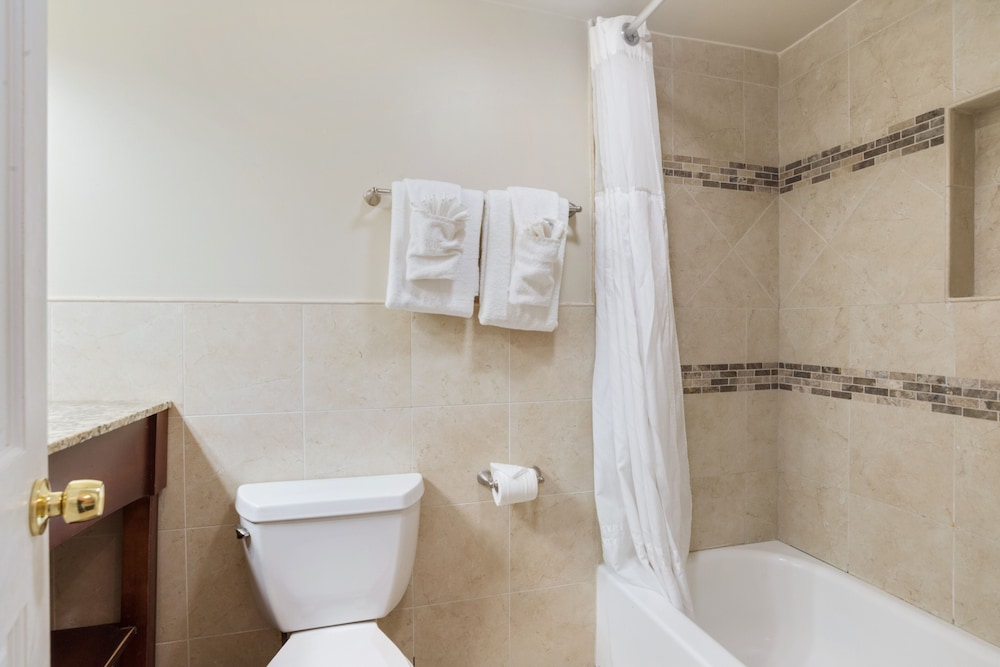Andrew Jackson Hotel, a French Quarter Inns Hotel — Hotel rooms in New Orleans, Louisiana