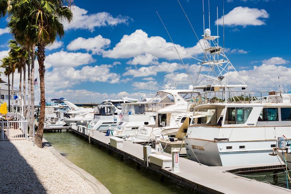 Holiday Inn & Suites Clearwater Beach S-Harbourside by IHG — Attractions in the area in Indian Rocks Beach, Florida
