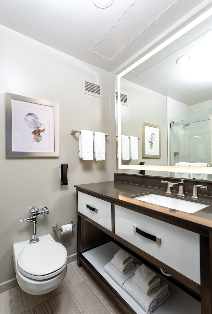 The Donatello — Hotel rooms in San Francisco, California