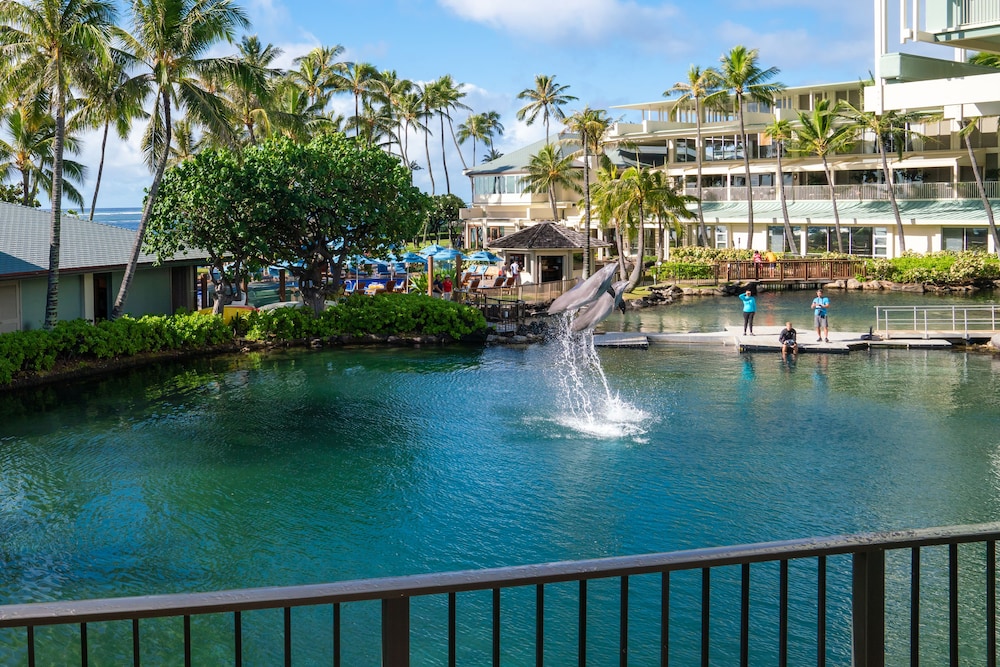 The Kahala Hotel & Resort — Attractions for children in Honolulu, Hawaii