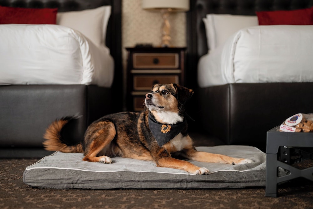 The Lenox Hotel Boston — Hotel rooms in Boston, Massachusetts