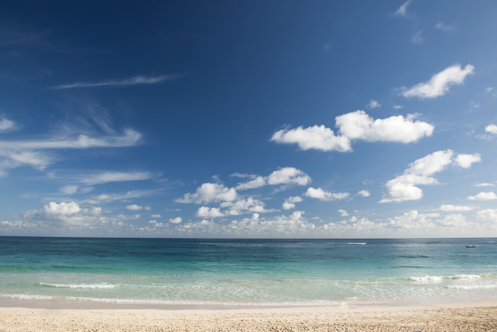 Occidental Caribe All Inclusive — Beach in Bavaro, La Altagracia